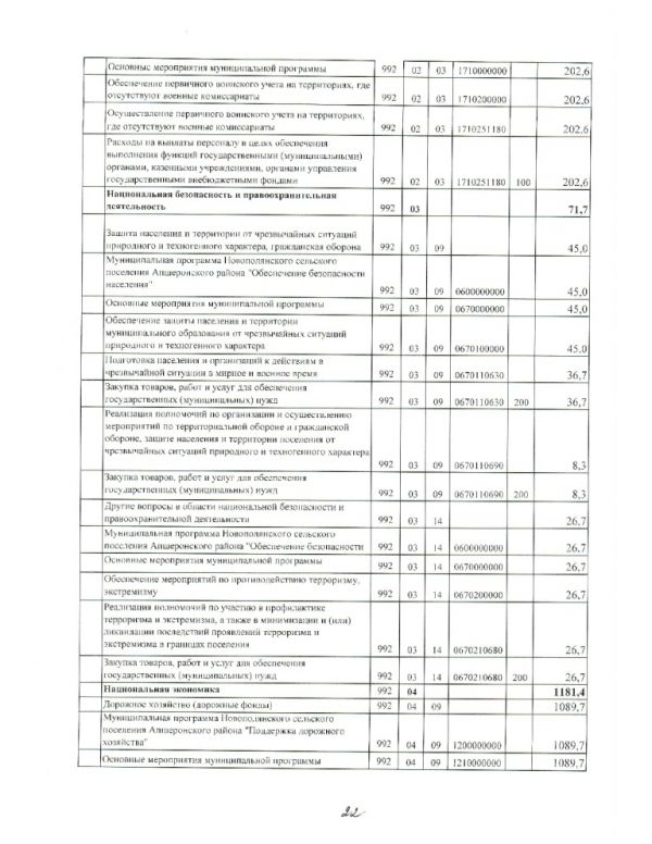 О бюджете Новополянского сельского поселения Апшеронского района на 2019 год