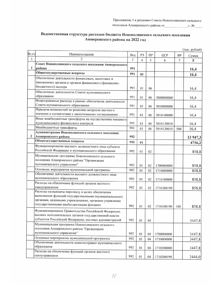 Проект решения О бюджете Новополянского сельского поселения Аншеронского района на 2022 год