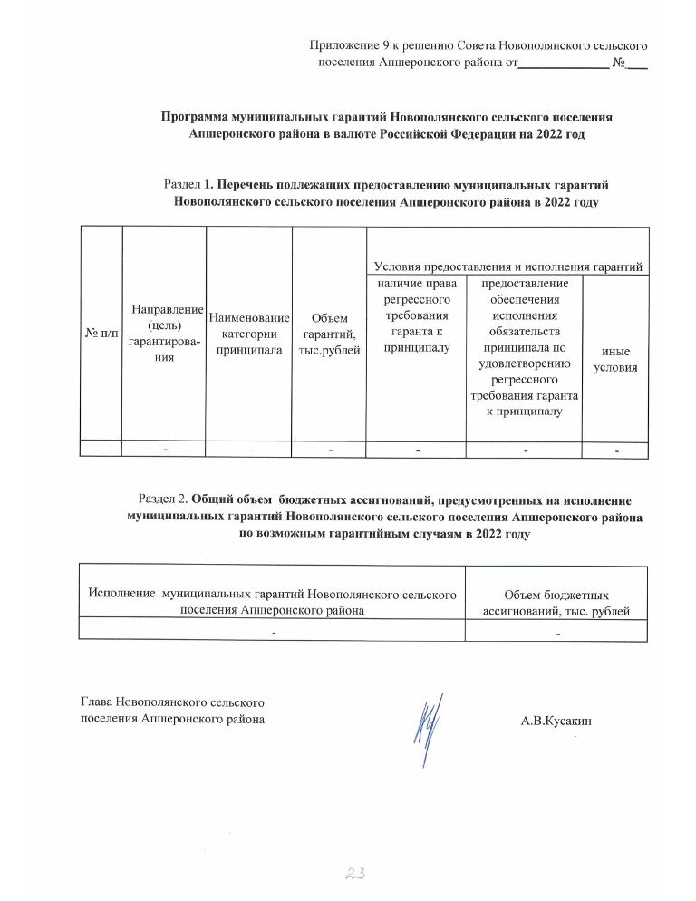 Проект решения О бюджете Новополянского сельского поселения Аншеронского района на 2022 год