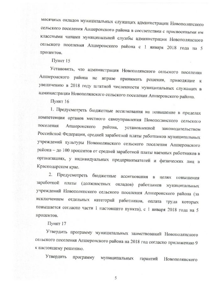 О бюджете Новополянского сельского поселения Апшеронского района на 2018 год