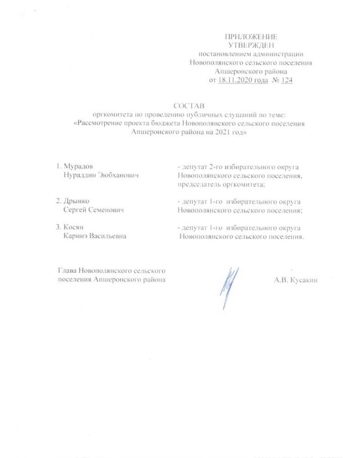 О назначении публичных слушаний по проекту бюджета Новополянского сельского поселения Апшеронского района 2021 год