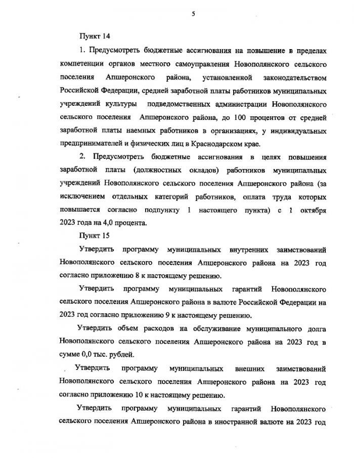 О бюджете Новополянского сельского поселения Апшеронского района на 2023 год 
